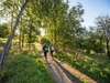 participants-walking-away-from-camera-through-a-wooded-area-on-the-chiltern-50-ultra-challenge