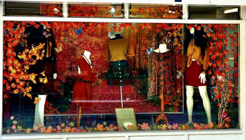 an-autumnal-themed-display-in-a-shop-window