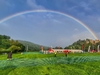 a-rainbow-over-the-event-village-and-dunster-castle-on-the-south-west-coast-50-ultra-challenge