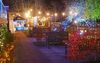 colourful-lights-decorating-the-hospice-gardens