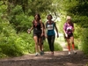 participants-walk-toward-the-camera-in-a-wooded-area-on-the-london-2-brighton-ultra-challenge