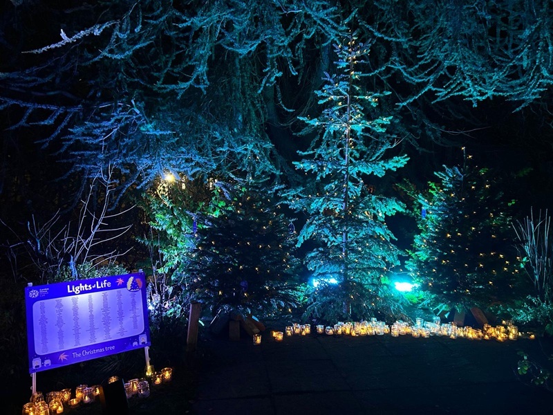 display-board-containing-names-in-front-of-a-christmas-tree