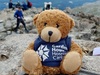 teddy-bear-wearing-t-shirt-containing-hospice-logo-on-peak-of-mountain